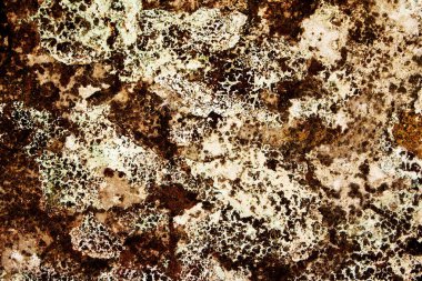 duvar dokusu arka plan