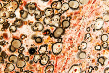 Makro Ayrıntılar Jasper taş