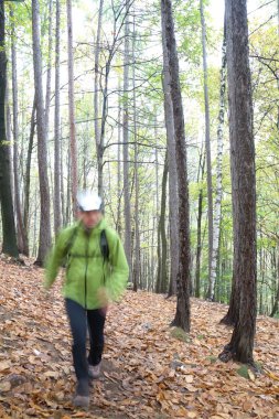 Uzun yürüyüşe çıkan kimse bir ormanda bir yolda yürüyor