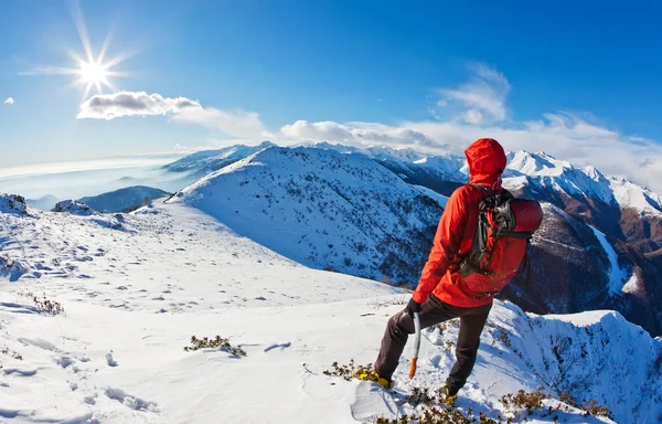 Alpiniste tout en observant un panorama de montagne . — Photo