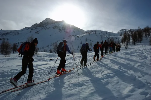 Ομάδα του backcountry σκιέρ — Φωτογραφία Αρχείου