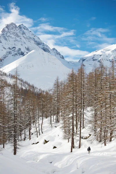 Montagna paesaggio invernale — Foto Stock