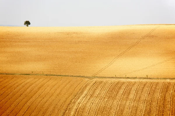 Vue paysage campagne — Photo