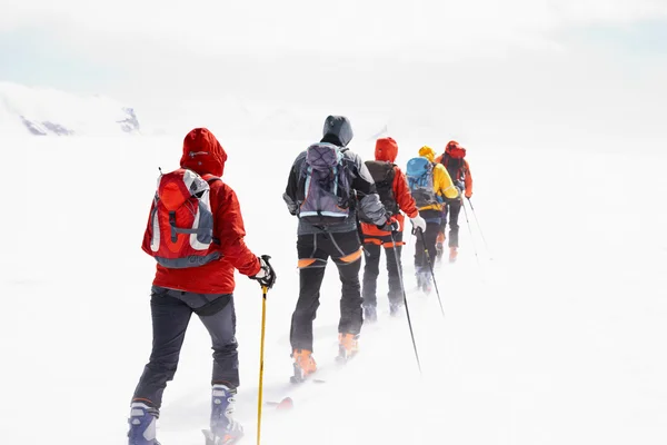 Grupp touring skidåkare — Stockfoto