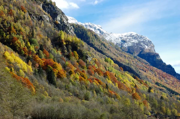 Mountain autumn scenic — Stock Photo, Image