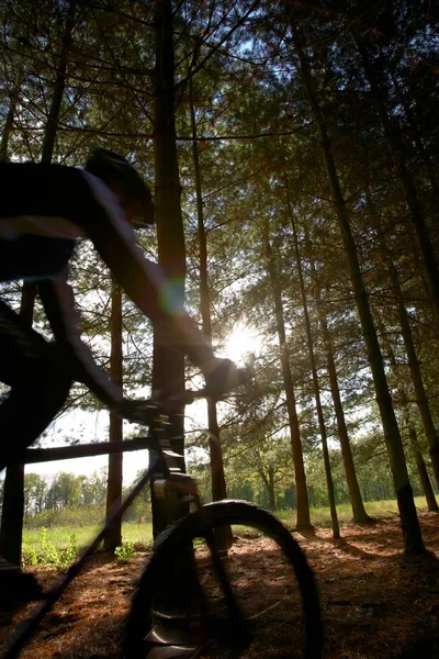 Mountain biker nella foresta — Foto Stock