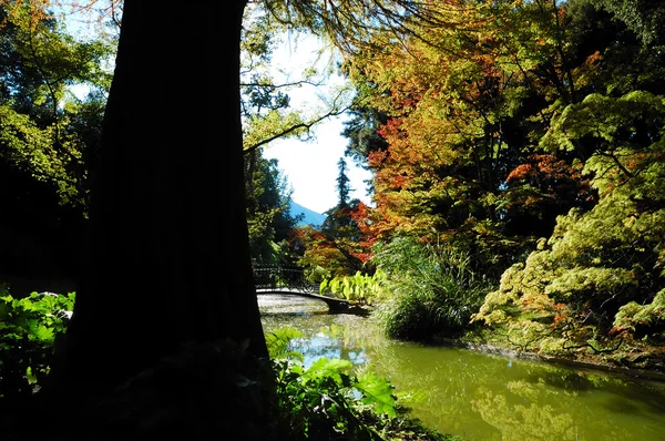 Beautiful garden lake — Stock Photo, Image