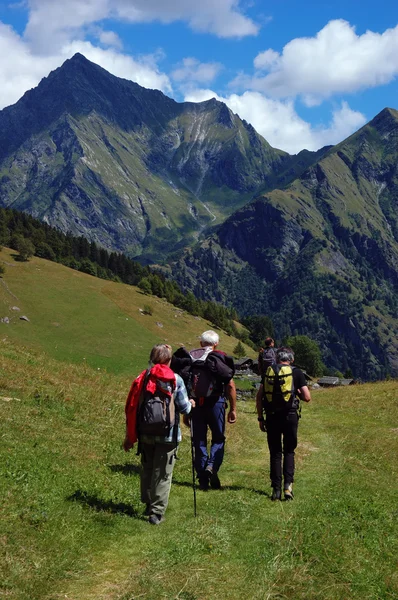 Trekkers walking along a mountain path — Stock Photo, Image