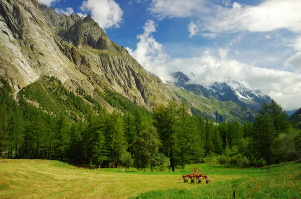 Berget dalen på Val Veny — Stockfoto