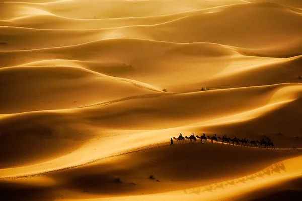 Kamelkarawane auf dem Weg durch die Sanddünen — Stockfoto