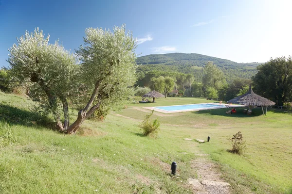 El jardín y la piscina de una casa de campo de lujo — Foto de Stock