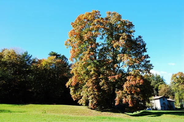 Paisaje en temporada de otoño —  Fotos de Stock