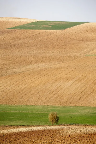 Wiejski krajobraz widok — Zdjęcie stockowe