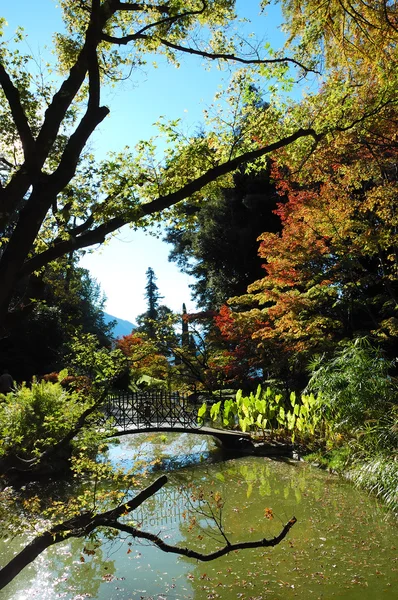 Beautiful garden lake — Stock Photo, Image