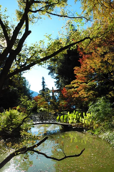 Vacker trädgård sjö — Stockfoto