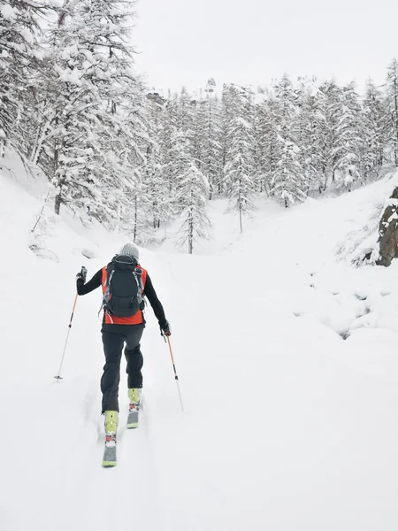 Caminhadas de esqui sertanejo em um vale de montanha . — Fotografia de Stock