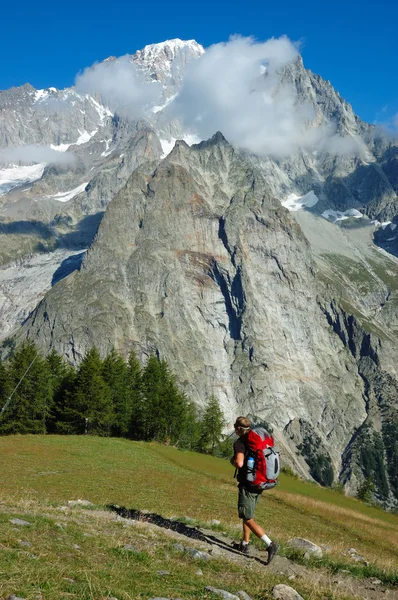 Trekker promenader längs en bergsstig — Stockfoto