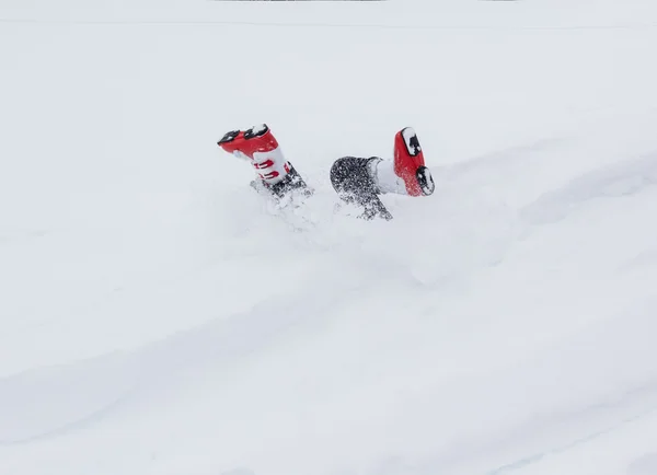 Amusez-vous dans la neige — Photo