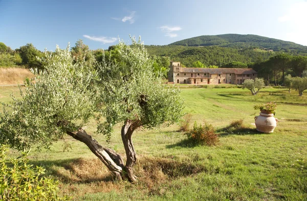 Italian vacation tuscan hills