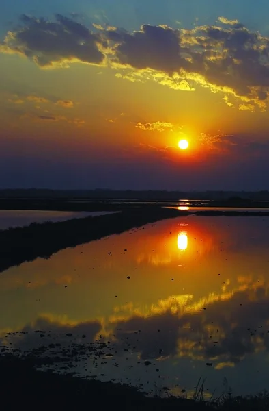 Sunrise bulutlu gökyüzü ile bir bataklık — Stok fotoğraf