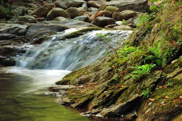 Little brook waterfall — Stock Photo, Image