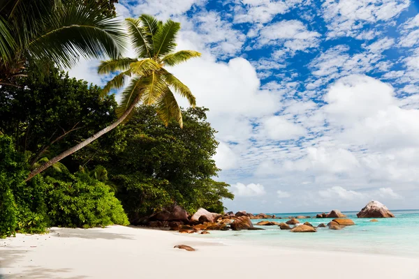 Een prachtig tropisch strand, Seychellen — Stockfoto