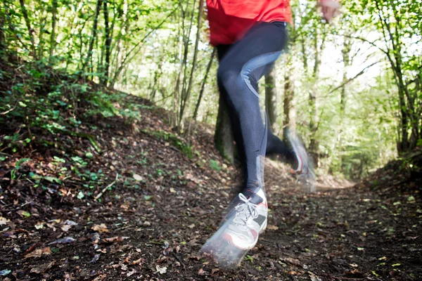 Correr a campo traviesa —  Fotos de Stock