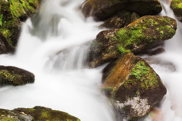 滝秋の小川 — ストック写真