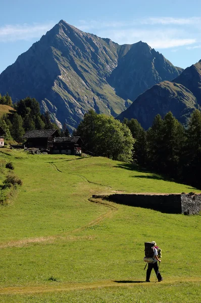 Trekker a piedi lungo un sentiero di montagna — Foto Stock