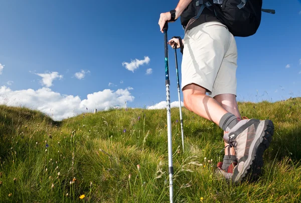 Vandrare vandring längs en bergsstig. — Stockfoto