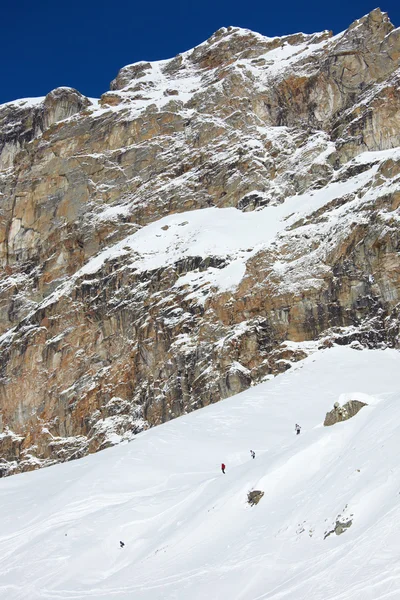 Jazda na nartach backcountry. Grupa freeriderów zjeżdżamy w puszystym śniegu — Zdjęcie stockowe