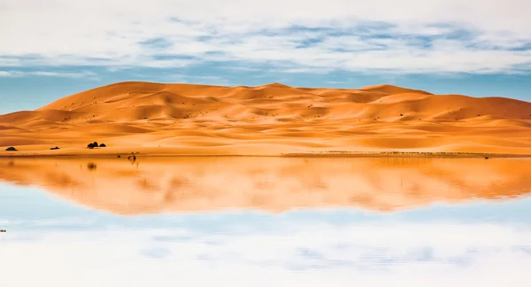 Αμμόλοφους της ερήμου και λίμνη — Φωτογραφία Αρχείου
