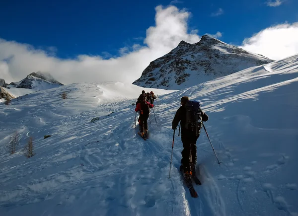 Grupp av backcountry skidåkare — Stockfoto