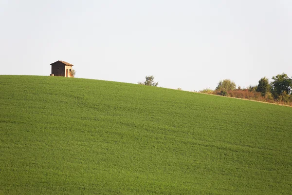 Construction rurale au sommet d'une colline verte — Photo