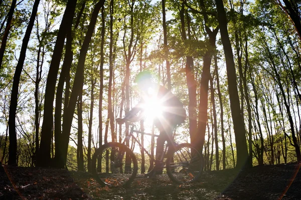 Ciclista de montaña en el bosque — Foto de Stock