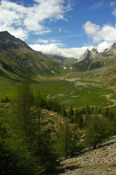 Vallée de montagne au Val Veny — Photo