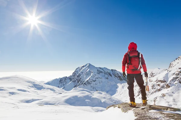 Alpiniste regardant un paysage de montagne enneigé Images De Stock Libres De Droits