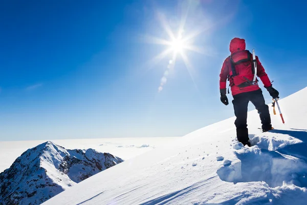 Mountaineer når toppen av en snöig berg i en solig winte Stockfoto