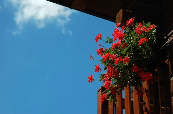 Röd blomma balkong Stockfoto