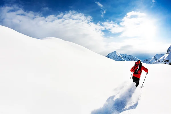 Ski : skieur masculin dans la poudreuse. Alpes italiennes, Europe . Image En Vente