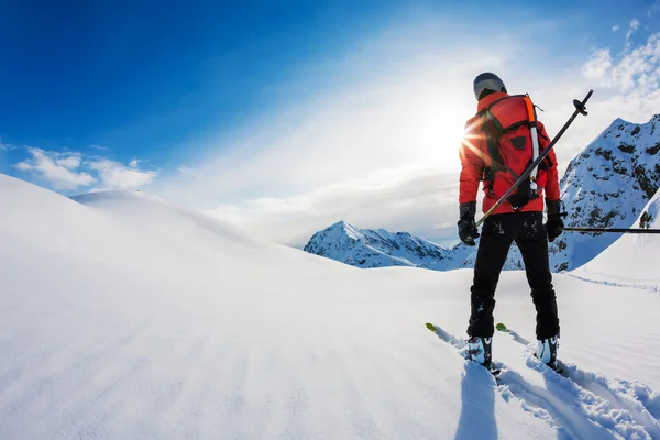 Sci: vista posteriore di uno sciatore in neve fresca. Alpi italiane, Europ — Foto Stock