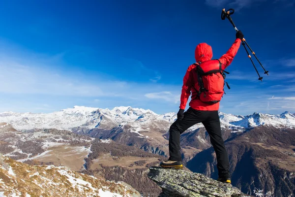 Hiker firar erövringen av toppmötet. Begrepp: seger, — Stockfoto