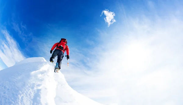Mountaineer anländer på toppen av en snöig topp. Begrepp: beslutsamhet, mod, ansträngning, självförverkligande. — Stockfoto