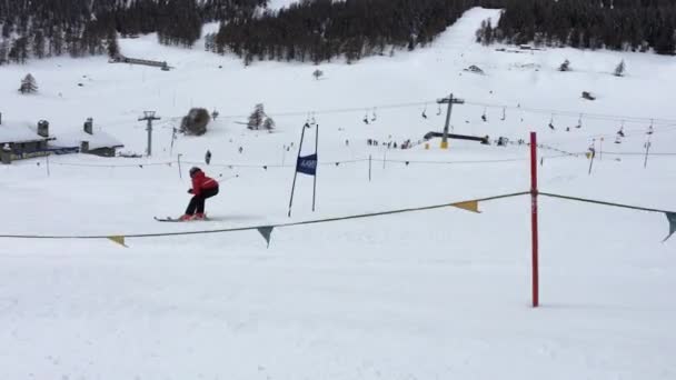 Kid skidåkning slalom — Stockvideo