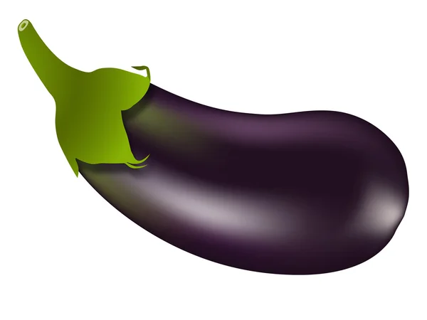 Eggplant against white — Stock Vector