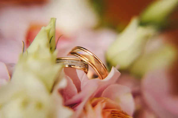 Dois anéis de casamento dourados em flores macro tiro — Fotografia de Stock