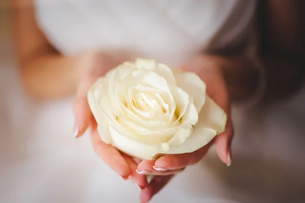 Flor en las manos de la novia — Foto de Stock