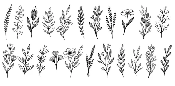 Set of line art flowers. Collection of vector flowers. — 图库矢量图片