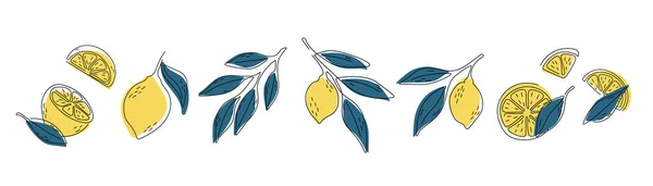 Impresión de limones frescos. Ilustración de limón línea dibujada a mano. Minimalismo limón. — Vector de stock