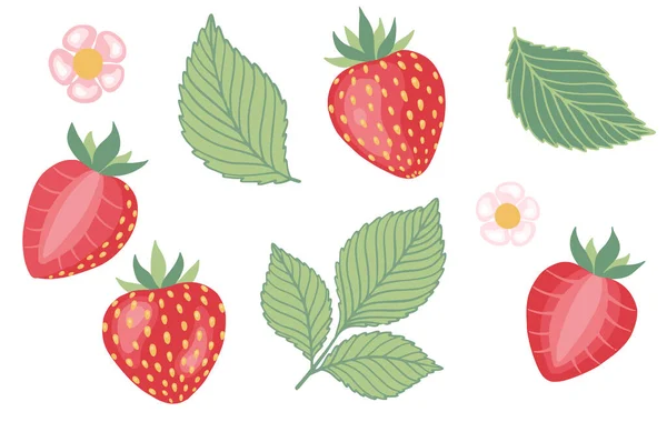 Aardbeienset. Vector illustratie voor biologische voeding, fruit, boerderij markt, natuurlijke product concept — Stockvector